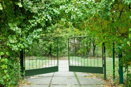 gate-to-garden