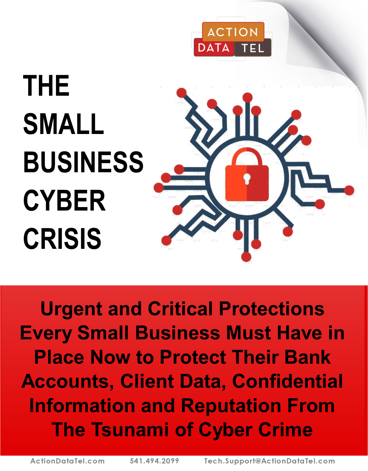 Cyber Crisis-What every business must have in place to protect their bank accounts, client or patient data, and reputation from the tsunami of cyber crime